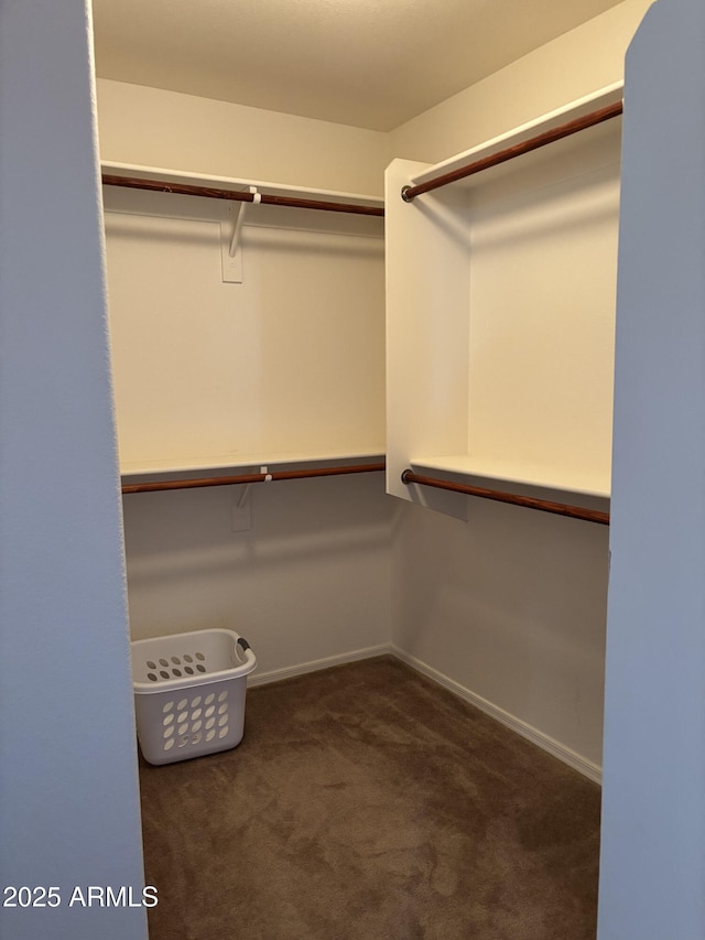 walk in closet with dark colored carpet