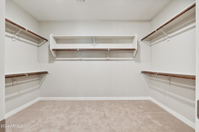 10630 W Pinchot Ave, Avondale, AZ 85392 - walk in closet with light carpet