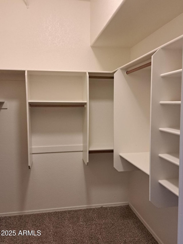 spacious closet with carpet flooring