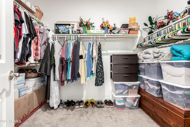 23407 W Winslow Ave, Buckeye, AZ 85326 - spacious closet featuring carpet