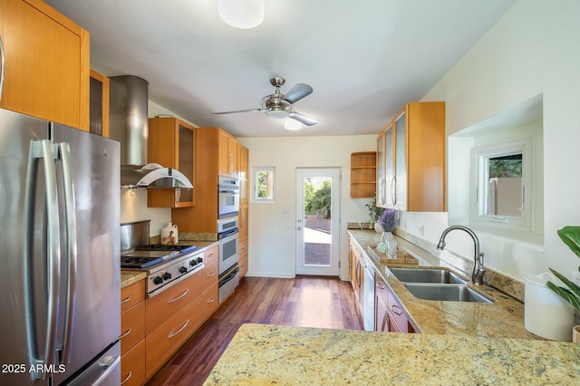 kitchen with appliances with stainless steel finishes, ventilation hood, sink, dark hardwood / wood-style flooring, and light stone counters