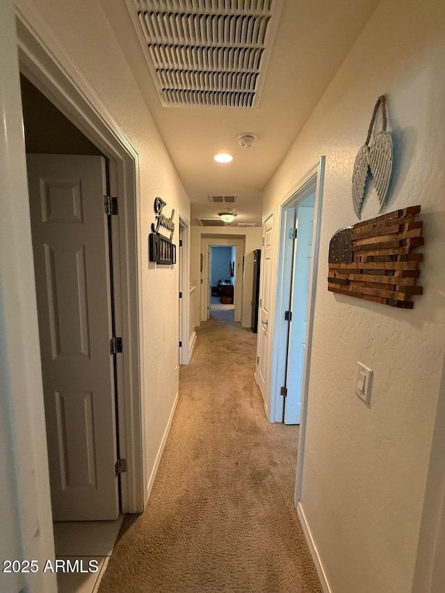2254 E University Dr Unit 4, Mesa, AZ 85213 - corridor with light carpet and baseboards