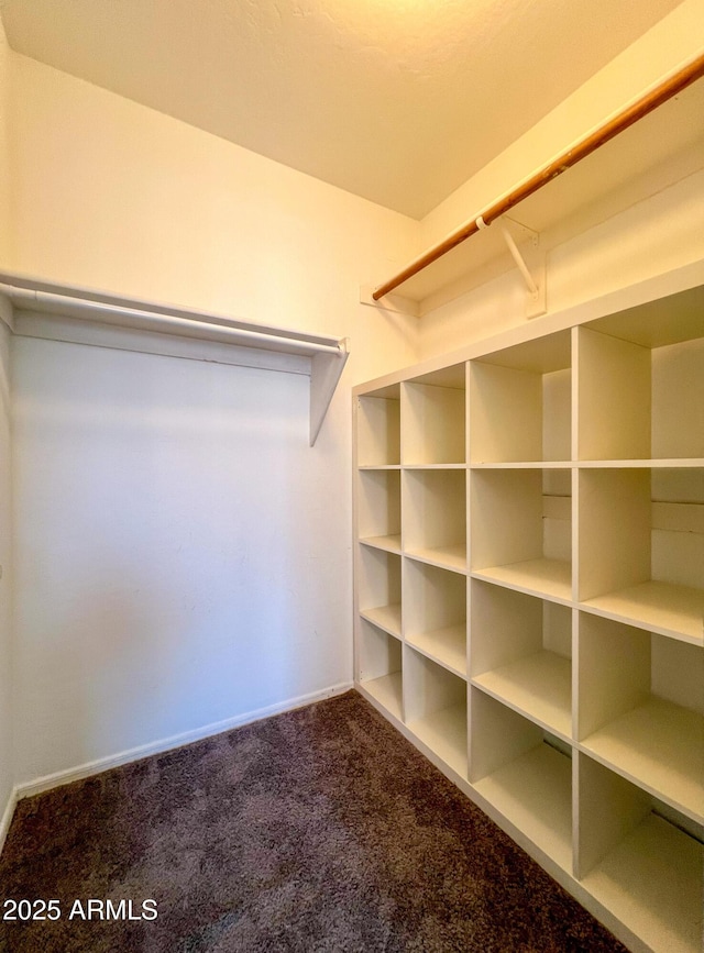 spacious closet with carpet flooring