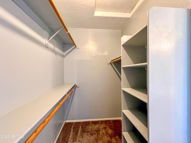 walk in closet with dark carpet