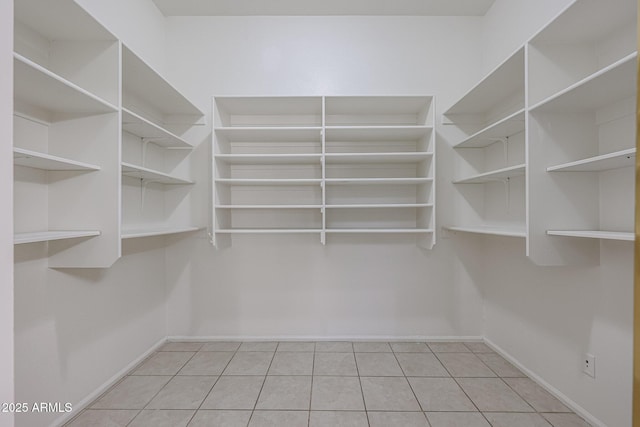 view of spacious closet