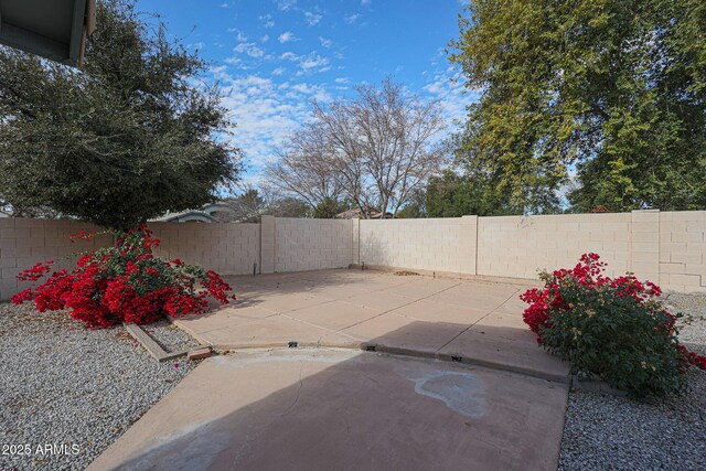 view of yard featuring a patio