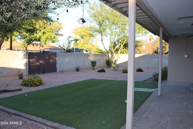 view of yard featuring a patio area