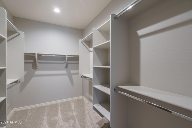 spacious closet with light carpet