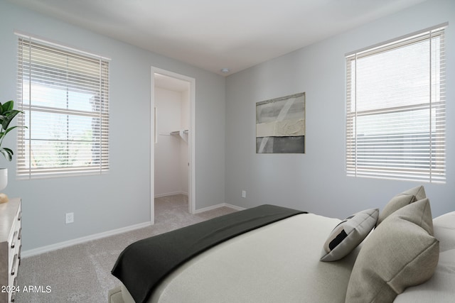 bedroom with carpet floors, a spacious closet, and a closet