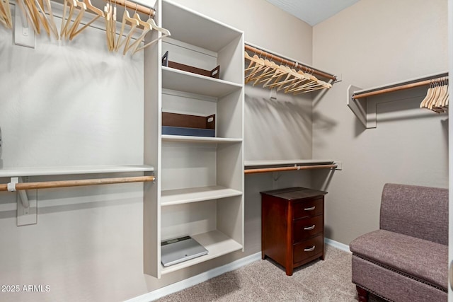 spacious closet with light colored carpet