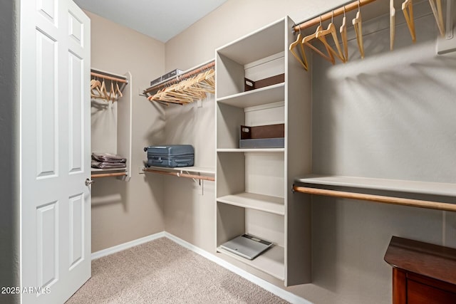 spacious closet with carpet