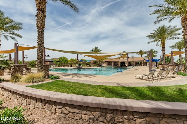 view of pool with a patio area