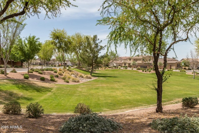 view of property's community with a yard