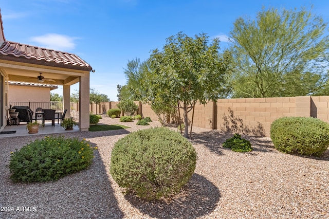 view of yard featuring a fenced backyard, a patio area, and a ceiling fan