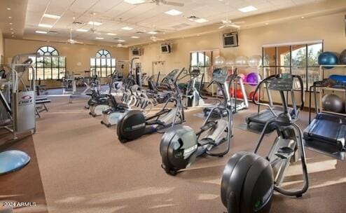 workout area with a healthy amount of sunlight and ceiling fan