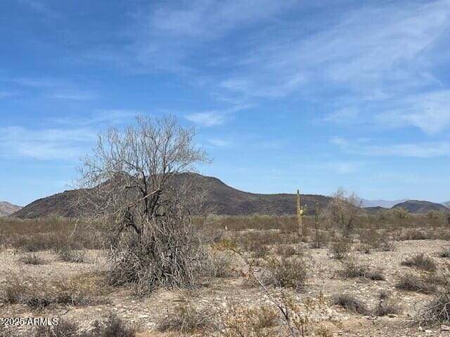 401STAVE W Mountain View Rd Unit 13, Tonopah, AZ 85354