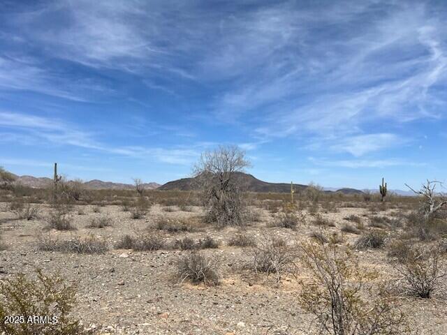 401STAVE W Mountain View Rd Unit 13, Tonopah, AZ 85354