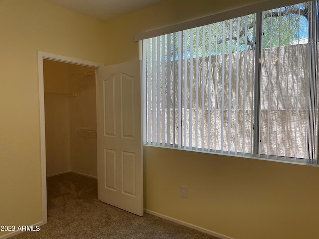 unfurnished bedroom featuring a closet, a walk in closet, and carpet