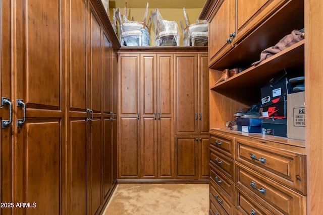 spacious closet featuring light colored carpet