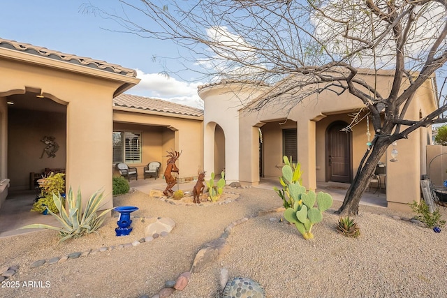 rear view of property with a patio, a tile roof, and stucco siding