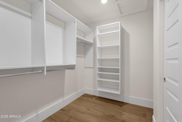 walk in closet featuring hardwood / wood-style floors