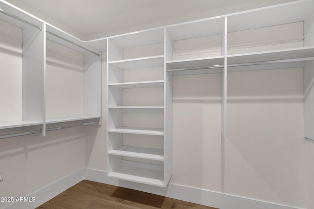 spacious closet with hardwood / wood-style flooring