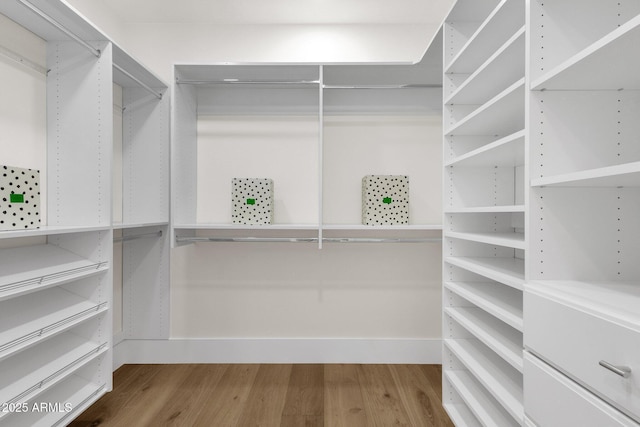 spacious closet featuring hardwood / wood-style floors