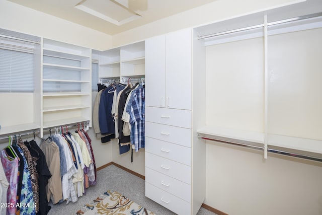 125 Partridge Ln, Prescott, AZ 86303 - walk in closet with carpet