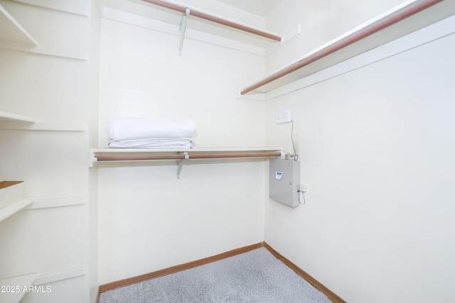 125 Partridge Ln, Prescott, AZ 86303 - walk in closet with carpet floors