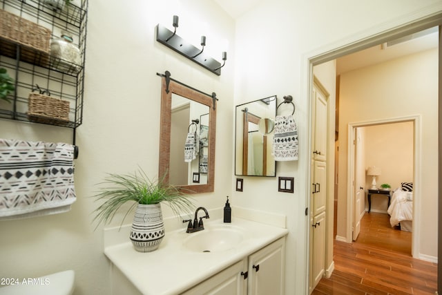 bathroom with wood-type flooring and vanity