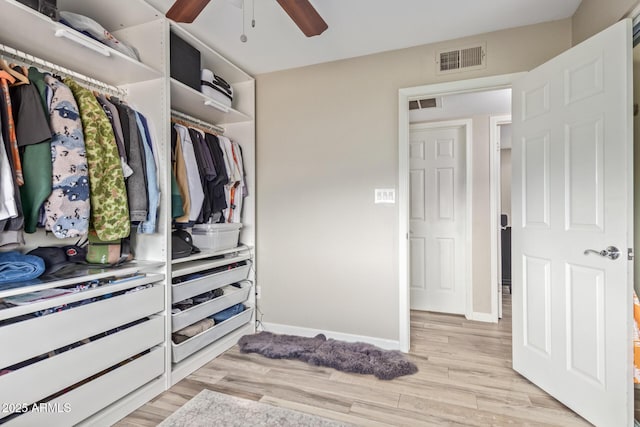 walk in closet featuring ceiling fan and light hardwood / wood-style flooring