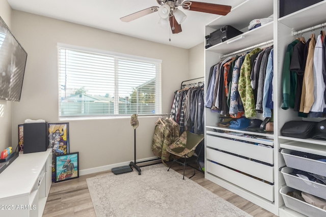 walk in closet featuring ceiling fan and light hardwood / wood-style floors