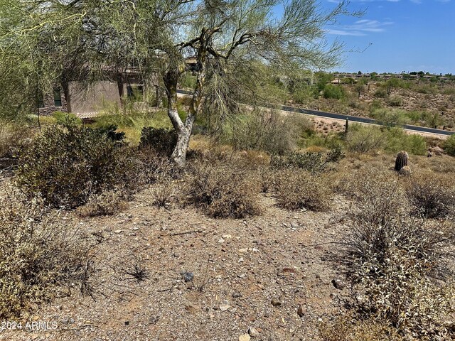 10043 N Palisades Blvd Unit 10, Fountain Hills, AZ 85268