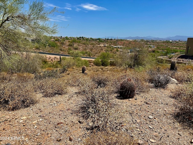 Listing photo 3 for 10043 N Palisades Blvd Unit 10, Fountain Hills AZ 85268