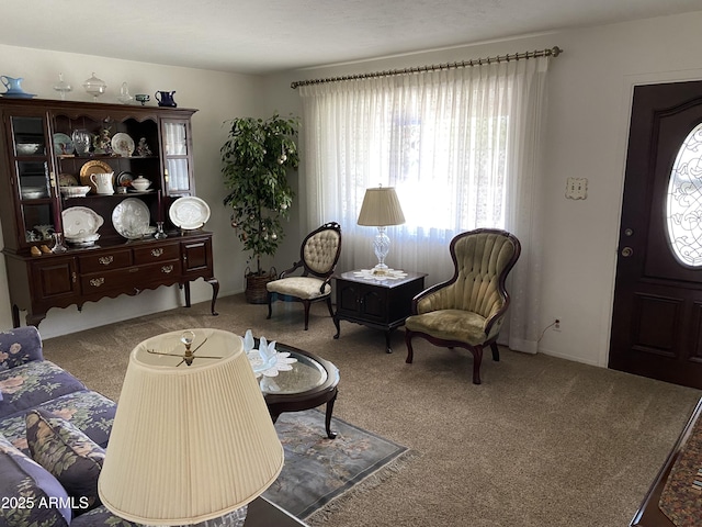 6637 E Culver St, Scottsdale, AZ 85257 - living room featuring carpet