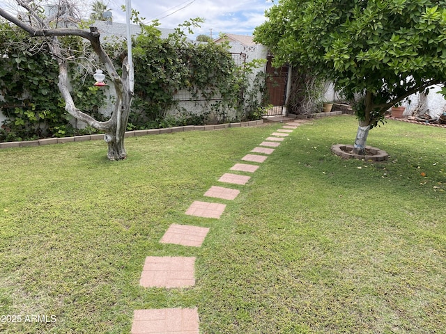6637 E Culver St, Scottsdale, AZ 85257 - view of green lawn
