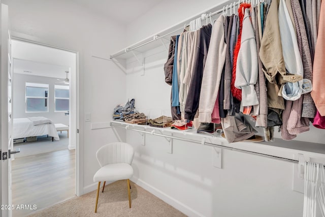 3592 W Cobalt Ct, San Tan Valley, AZ 85144 - view of walk in closet