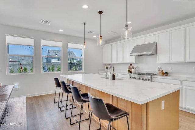 3592 W Cobalt Ct, San Tan Valley, AZ 85144 - kitchen featuring ventilation hood, a sink, white cabinetry, light wood-style floors, and recessed lighting