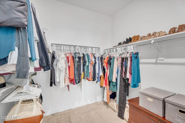 3592 W Cobalt Ct, San Tan Valley, AZ 85144 - walk in closet with carpet