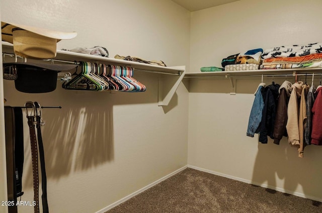 walk in closet featuring carpet floors