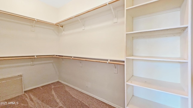 23853 W Hammond Ln, Buckeye, AZ 85326 - spacious closet featuring carpet flooring