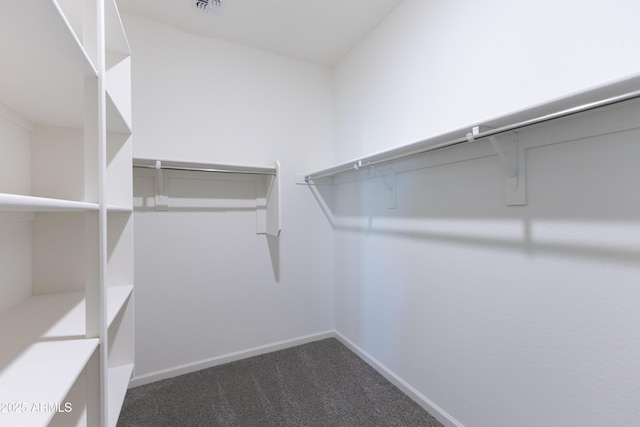 spacious closet with dark carpet