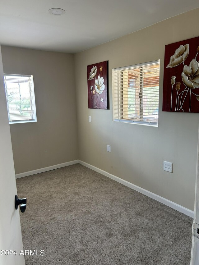 empty room with baseboards, a wealth of natural light, and carpet floors