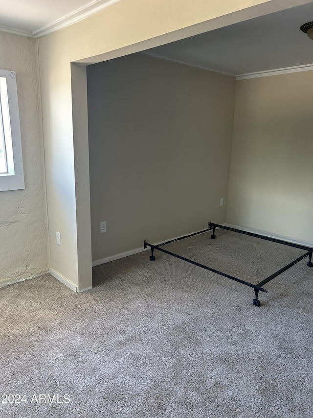 empty room featuring crown molding and carpet