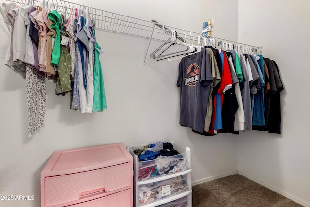 walk in closet featuring carpet floors