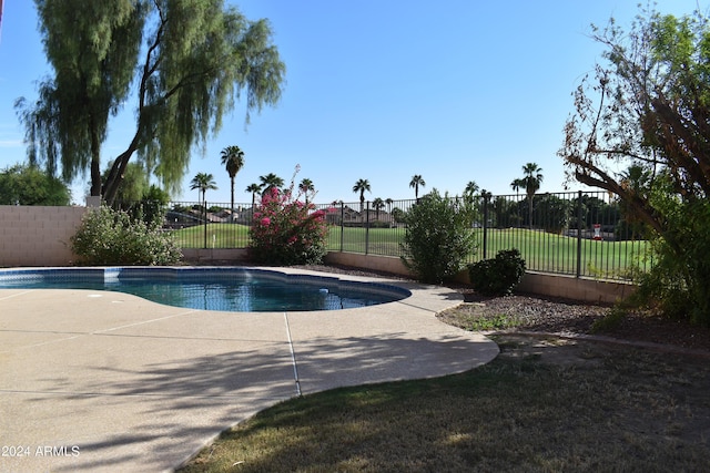 view of pool featuring a fenced in pool, a fenced backyard, a patio, and a lawn