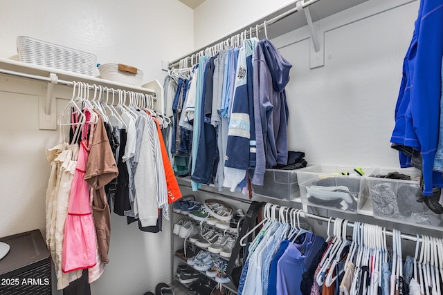 12211 W Hide Trl, Peoria, AZ 85383 - view of spacious closet