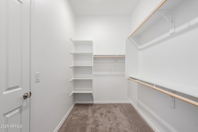 spacious closet with carpet floors