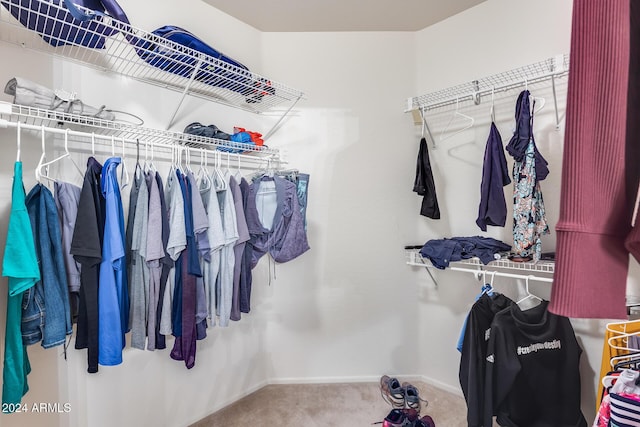 spacious closet featuring carpet floors