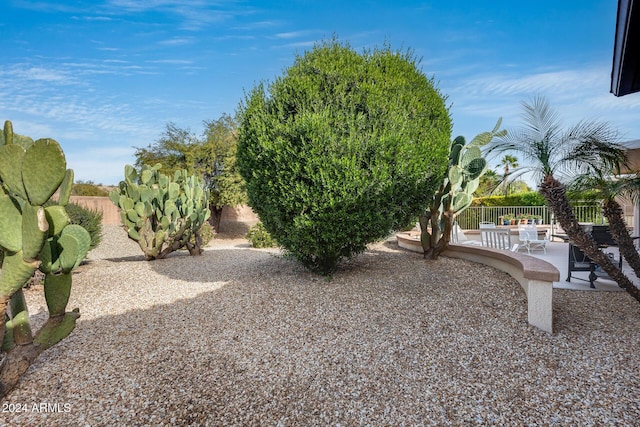 view of yard with a patio